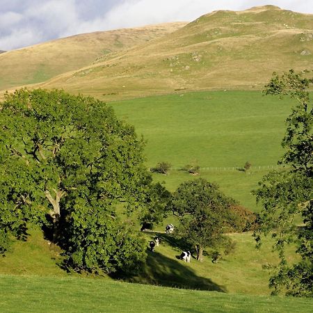 Gateside Farmhouse Sedbergh Exterior foto