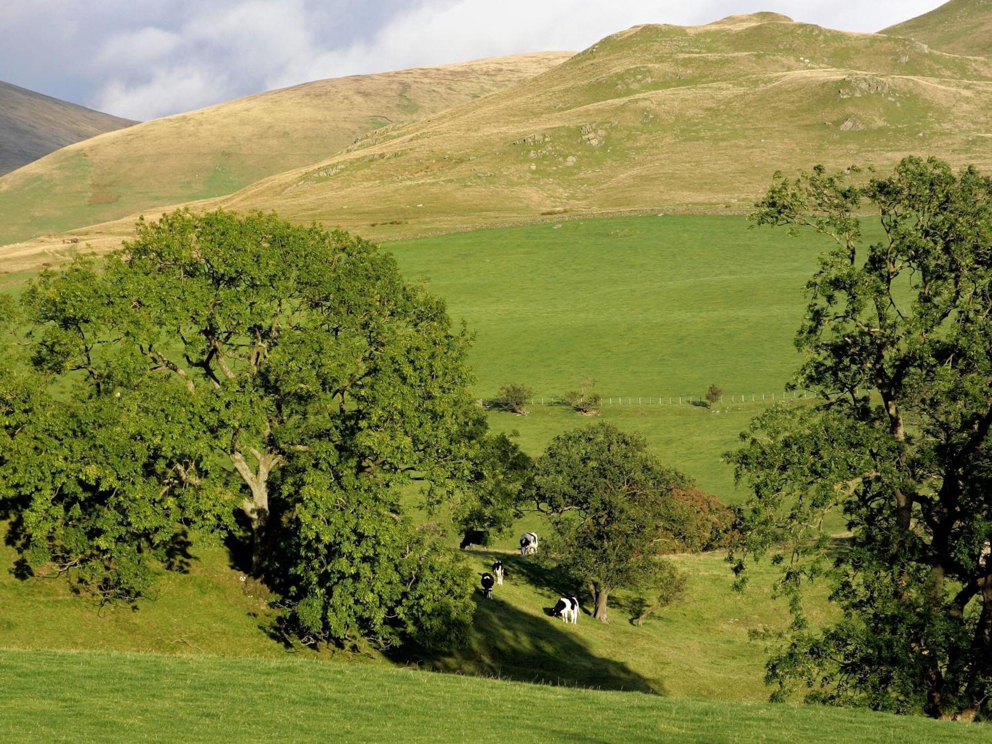 Gateside Farmhouse Sedbergh Exterior foto